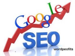 picture of SEO graph